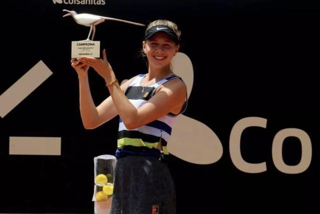 动会到单项 动会到单项